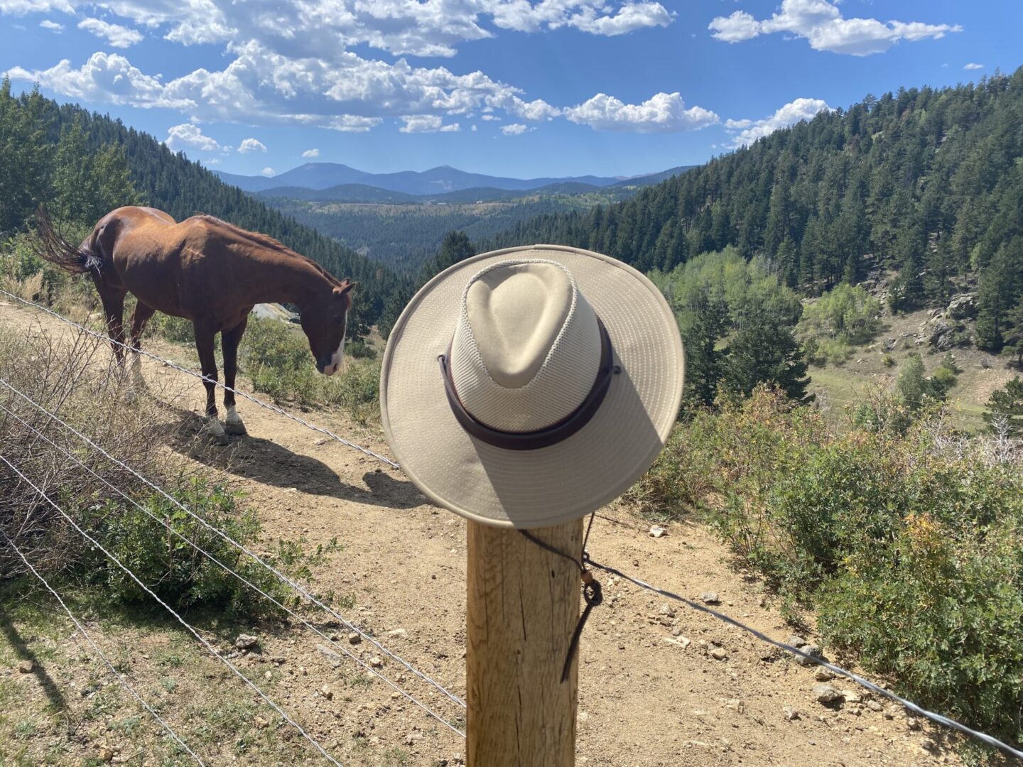 Henschel Breezer Hat